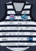 GEELONG: 2005 Heritage Round team jump with AFL and Ford logos, signed by the full team and officials. Framed and glazed, overall 98 x 76cm. - 2