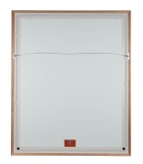 BRISBANE LIONS / FITZROY: 2003 Heritage Round limited edition jumper, #66/200, signed by eight team members. Framed and glazed, overall 103 x 84cm. - 2
