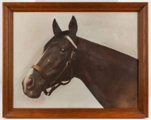 "BAYARD" hand-coloured photographic print in timber frame, 50 x 63cm overall