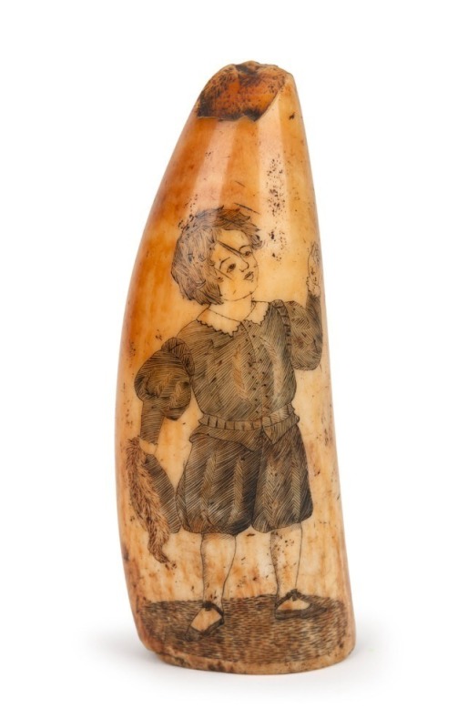 A scrimshaw whale's tooth engraved with a portrait of a young boy, 12cm high