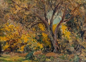 ARNOLD SHORE (1897-1963), Wattles, oil on board, signed lower left "Shore, '52", titled verso, ​​​​​​​25 x 36cm, 34 x 45cm overall