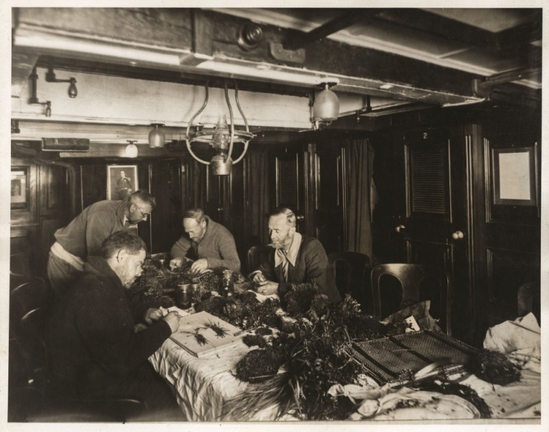 THE B.A.N.Z. ANTARCTIC EXPEDITION:Official original photograph by Captain Frank Hurley:Image A6 - Title: Classifying the treasures,with official "MAWSON ANTARCTIC EXPEDITION" handstamp and release date "THURSDAY FEB.13, 1930" verso, together with the offi