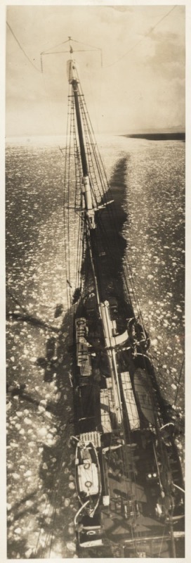 THE B.A.N.Z. ANTARCTIC EXPEDITION:Official original photograph by Captain Frank Hurley:Image A48 - Title: Trailing South,with official "MAWSON ANTARCTIC EXPEDITION" handstamp and release date "TUESDAY APR. 29, 1930" verso, together with the official lette