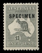 &pound;1 Grey, overprinted SPECIMEN Type C subtype 2 with shaved P (BW: 53xf), superbly centred and never hinged, not priced thus. Possibly the finest example extant.