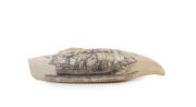 A vintage scrimshaw whale's tooth titled "H.M.S. Investigator - Capt. M. Flinders - 1802" by K. Neil, 20th century, 13cm long