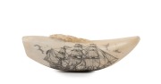 A vintage scrimshaw whale's tooth titled "H.M.S. Investigator - Capt. M. Flinders - 1802" by K. Neil, 20th century, 13cm long - 2