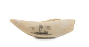 A vintage scrimshaw whale's tooth titled "H.M.S. Investigator - Capt. M. Flinders - 1802" by K. Neil, 20th century, 13cm long - 3