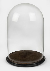 An exceptional antique French cylindrical glass dome on original ebonised timber base, 19th century, 67cm high, internal 62cm high, internal diameter 42cm, base diameter 48cm overall
