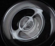 LALIQUE&nbsp;French glass squirrel ring tray, engraved "Lalique, France", 6cm high, 9.5cm diameter - 3
