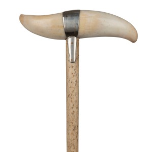 A walking stick with whalebone shaft, whale tooth handle and brass ferrule, 86cm high