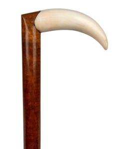 A walking stick with whale tooth handle, fiddleback blackwood shaft and brass ferrule, 86cm high