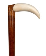 A walking stick with whale tooth handle, fiddleback blackwood shaft and brass ferrule, ​​​​​​​86cm high