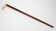 A walking stick with whale tooth handle, fiddleback blackwood shaft and brass ferrule, ​​​​​​​86cm high - 2
