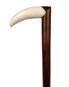 A walking stick with whale's tooth handle, timber shaft and whalebone ferrule, 85cm high