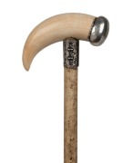 A whalebone shaft walking stick with whale's tooth handle, silver collar and cap, 84cm high