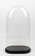 An antique French oval glass dome on ebonized base, 19th century, 64cm high overall, the&nbsp;dome 33cm wide, 18cm deep
