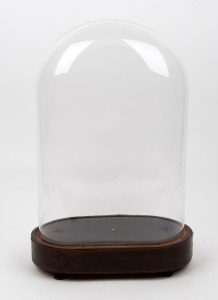 246 · An antique French oval glass dome on rosewood base with marquetry decoration, 19th century, 52cm high overall, the dome 31cm wide, 16cm deep