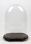 An antique French oval glass dome on ebonized base, 19th century, 53cm high overall, the&nbsp;dome 48cm high, 33cm wide, 19cm deep