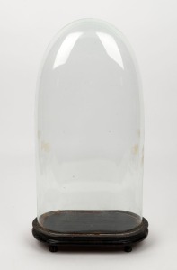 An antique French oval glass dome on ebonized base, 19th century, 49cm high overall, the dome 45cm high, 23cm wide, 12cm deep