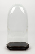 An antique French oval glass dome on ebonized base, 19th century, 49cm high overall, the&nbsp;dome 45cm high, 23cm wide, 12cm deep