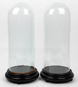 249 · A pair of antique French cylindrical glass domes on ebonized bases, 19th century, 52cm high overall, the domes 45cm high, 17cm diameter