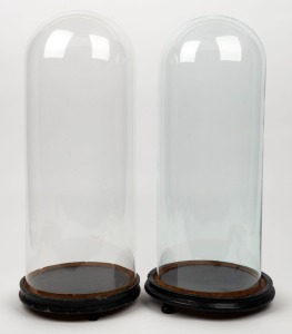 Two antique French cylindrical glass domes on ebonized bases, 19th century, 54cm high overall, the domes 49cm high, 19cm diameter