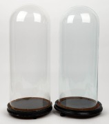 Two antique French cylindrical glass domes on ebonized bases, 19th century, 54cm high overall, the&nbsp;domes 49cm high, 19cm diameter