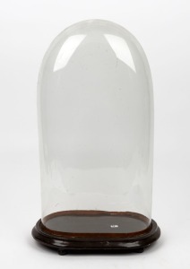 An antique French oval glass dome on brown painted base, 19th century, 49cm high overall, the dome 45cm high, 23cm wide, 13cm deep