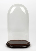 An antique French oval glass dome on brown painted base, 19th century, 49cm high overall, the&nbsp;dome 45cm high, 23cm wide, 13cm deep