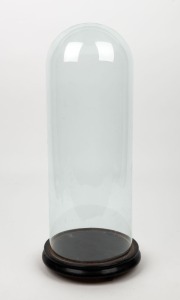 An antique French cylindrical glass dome on ebonized base, 19th century, 53cm high overall, the dome 49cm high, 17cm diameter