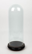 An antique French cylindrical glass dome on ebonized base, 19th century, 53cm high overall, the&nbsp;dome 49cm high, 17cm diameter