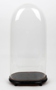 An antique French oval glass dome on ebonized base (ill fitting), 19th century, 58cm high overall, the dome 53cm high, 26cm wide, 15cm deep