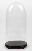 An antique French oval glass dome on ebonized base (ill fitting), 19th century, 58cm high overall, the&nbsp;dome 53cm high, 26cm wide, 15cm deep