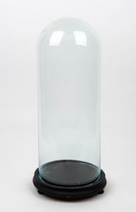 An antique French cylindrical glass dome on ebonized base, 19th century, 53cm high overall, the dome 49cm high, 19cm diameter