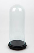 An antique French cylindrical glass dome on ebonized base, 19th century, 53cm high overall, the&nbsp;dome 49cm high, 19cm diameter