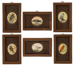 Set of six Indian oval miniature bird paintings on ivory, all mounted and framed in brown cloth, 20th century, ​​​​​​​7 x 5.5cm each, 18 x 12cm each overall