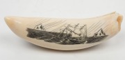 A scrimshaw whale's tooth depicting a whaling scene and tallship on reverse, 13.5cm long - 2