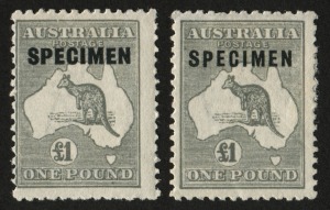 £1 Grey, (2) overprinted SPECIMEN (Type C) well centred, and (Type D) centred left; mounted. Cat.$750.