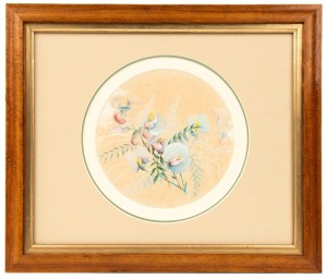 MARIAN ELLIS (ELLIS) ROWAN (1848-1922), Swainsona procumbens, N. S. Wales, watercolor and gouache, signed "Ellis Rowan" and titled verso, 15.5cm diameter, 30 x 35cm overall