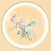 MARIAN ELLIS (ELLIS) ROWAN (1848-1922), Swainsona procumbens, N. S. Wales, watercolor and gouache, signed "Ellis Rowan" and titled verso, 15.5cm diameter, 30 x 35cm overall - 2