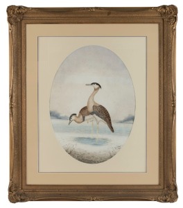 HERBERT HEPBURN CALVERT (1870-1923), (bustards), watercolour, signed lower right "H. H. Calvert, '16", 53 x 39cm, 89 x 77cm overall