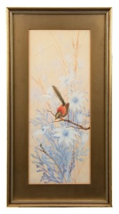NEVILLE WILLIAM CAYLEY, JUNIOR (1886-1950), (untitled wren and caterpillar with flannel flowers), watercolour and gouache, signed lower right "Neville W. Cayley, '10", 41 x 17cm, 52 x 28cm overall