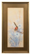 NEVILLE WILLIAM CAYLEY, JUNIOR (1886-1950), (untitled wren and caterpillar&nbsp;with flannel flowers), watercolour and gouache, signed lower right "Neville W. Cayley, '10", 41 x 17cm, 52 x 28cm overall