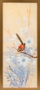 NEVILLE WILLIAM CAYLEY, JUNIOR (1886-1950), (untitled wren and caterpillar&nbsp;with flannel flowers), watercolour and gouache, signed lower right "Neville W. Cayley, '10", 41 x 17cm, 52 x 28cm overall - 2