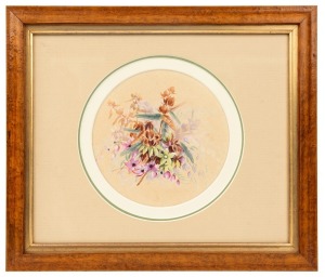 MARIAN ELLIS (ELLIS) ROWAN (1848-1922), Laciopetalum ferrugineum. N. S. Wales, watercolor and gouache, signed "Ellis Rowan" and titled verso, 15.5cm diameter, 30 x 35cm overall