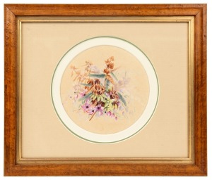 MARIAN ELLIS (ELLIS) ROWAN (1848-1922), Laciopetalum ferrugineum. N. S. Wales, watercolor and gouache, signed "Ellis Rowan" and titled verso, 15.5cm diameter, 30 x 35cm overall