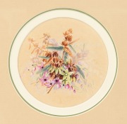 MARIAN ELLIS (ELLIS) ROWAN (1848-1922), Laciopetalum&nbsp;ferrugineum. N. S. Wales, watercolor and gouache, signed "Ellis Rowan" and titled verso, 15.5cm diameter, 30 x 35cm overall - 2