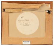 MARIAN ELLIS (ELLIS) ROWAN (1848-1922), Laciopetalum&nbsp;ferrugineum. N. S. Wales, watercolor and gouache, signed "Ellis Rowan" and titled verso, 15.5cm diameter, 30 x 35cm overall - 3