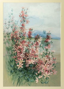MARIAN ELLIS (ELLIS) ROWAN (1848-1922), (untitled floral study), watercolor and gouache, signed lower right "Ellis Rowan", 53 x 36cm, 72 x 55cm overall