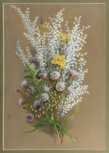 MARIAN ELLIS (ELLIS) ROWAN (1848-1922), (untitled wildflowers), watercolor and gouache, signed lower right "Ellis Rowan, 1880", 50 x 35cm, 70 x 55cm overall